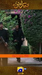 Murtasim And Meerab   Walking Style !! #TereBin #YumnaZaidi #WahajAli  #shorts #FLO Digital