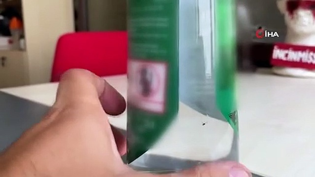 Aus einer verschlossenen Schnapsflasche kam eine Fliege