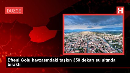 Düzce'de Efteni Gölü havzasında taşkın: 350 dekar alan zarar gördü