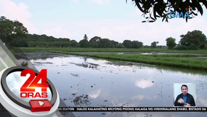 Ilang magsasaka, umaaray sa binawasang alokasyon para sa irigasyon mula sa Angat dam reservoir | 24 Oras