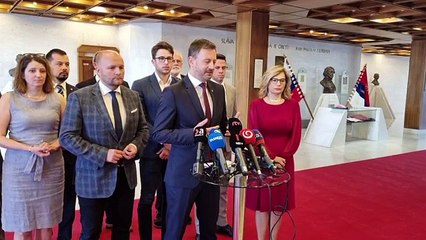 Brífing strany Demokrati o odvolávaní B. Kollára