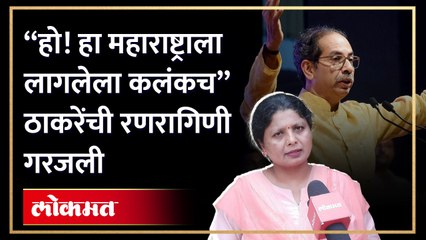 चिल्लर चिल्लर लोकं" अंधारेंकडून निलेश, नितेश राणेंसह फडणवीसांचाही समाचार