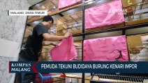 Pemuda di Malang Tekuni Budidaya Burung Kenari Impor