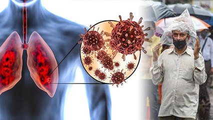 Monsoon Disease : फेफड़ों को  खराब कर सकती हैं बारिश में होने वाली ये बीमारियां । Boldsky