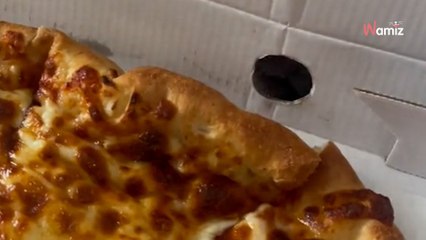 Un chien développe une technique de ninja pour voler de la pizza... enfin, c'est ce qu'il croit ! (vidéo)