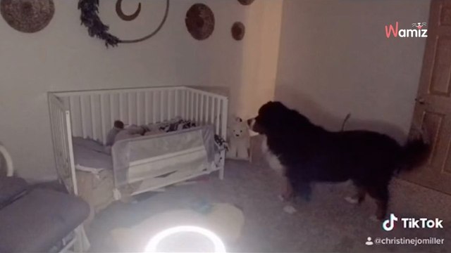 Ils installent une caméra pour surveiller leur bébé pendant la nuit et découvrent qu'ils ne sont pas seuls (vidéo)