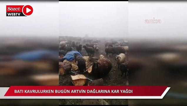 Batı kavrulurken Artvin'e kar yağdı