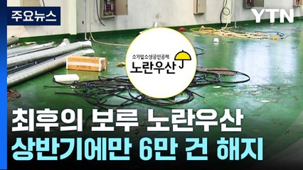 '최후 보루' 노란우산, 상반기에만 6만 건 해지 / YTN