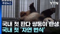 국내 첫 자이언트 판다 쌍둥이 자연번식...