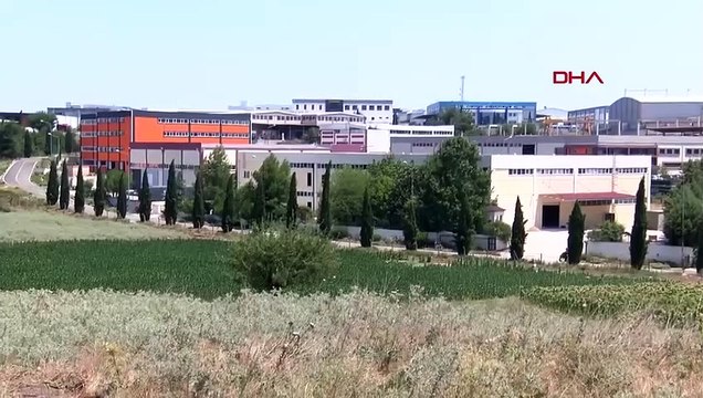 390 hectares de terres ont été endommagés par des incendies de forêt à Izmir