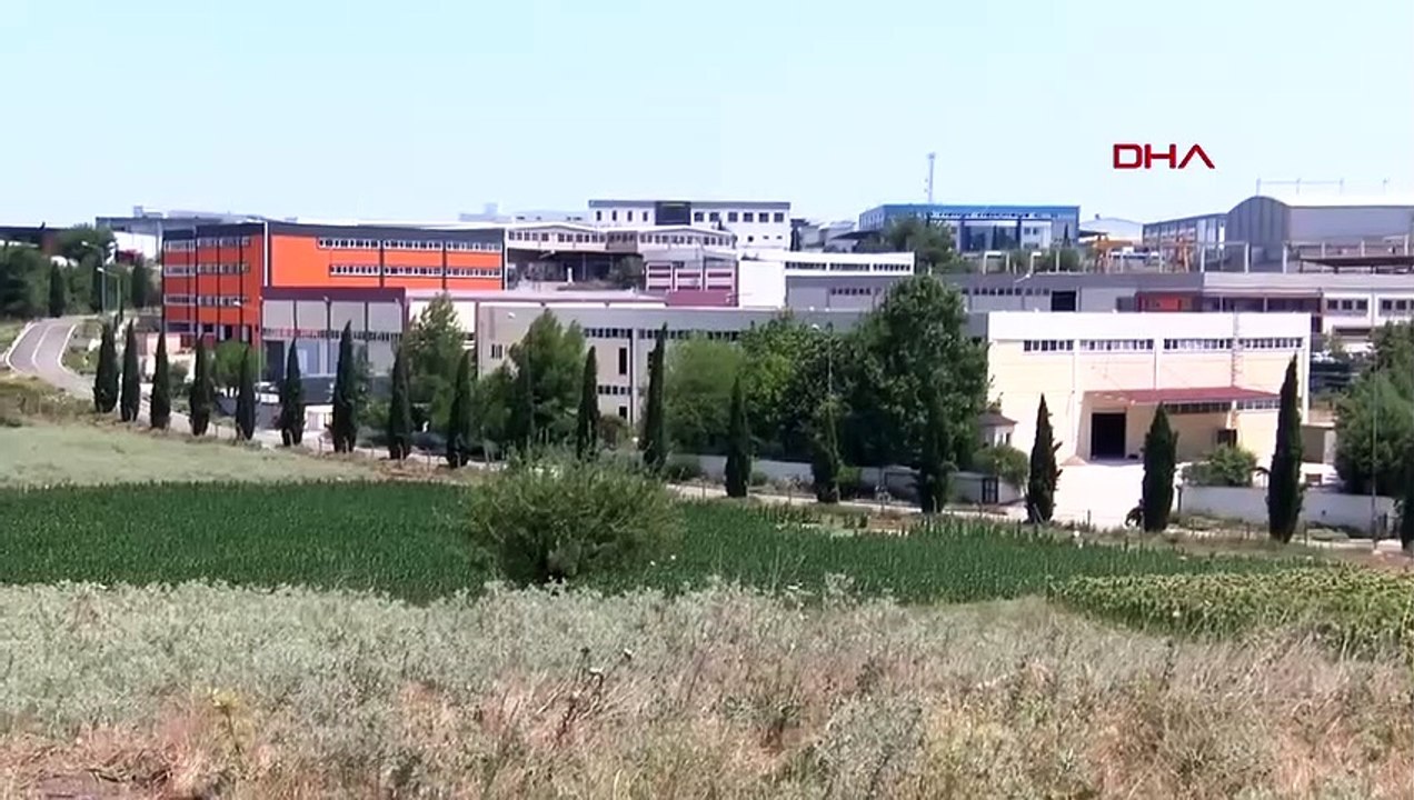 390 hectares de terres ont été endommagés par des incendies de forêt à Izmir