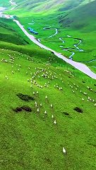 wonders of the universe 3