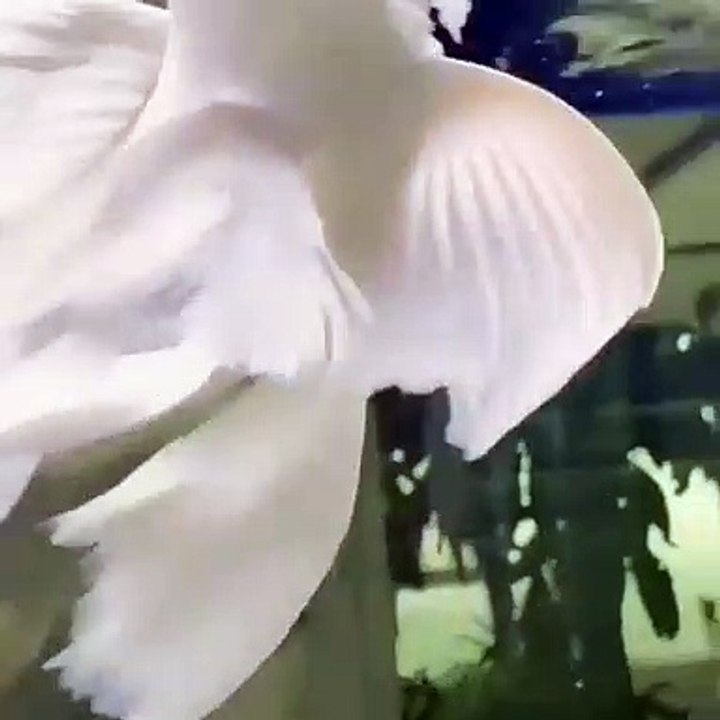 wonders of the universe 2