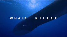 Walking With Beasts - Ep 2 Whale Killer (2001) [576p]