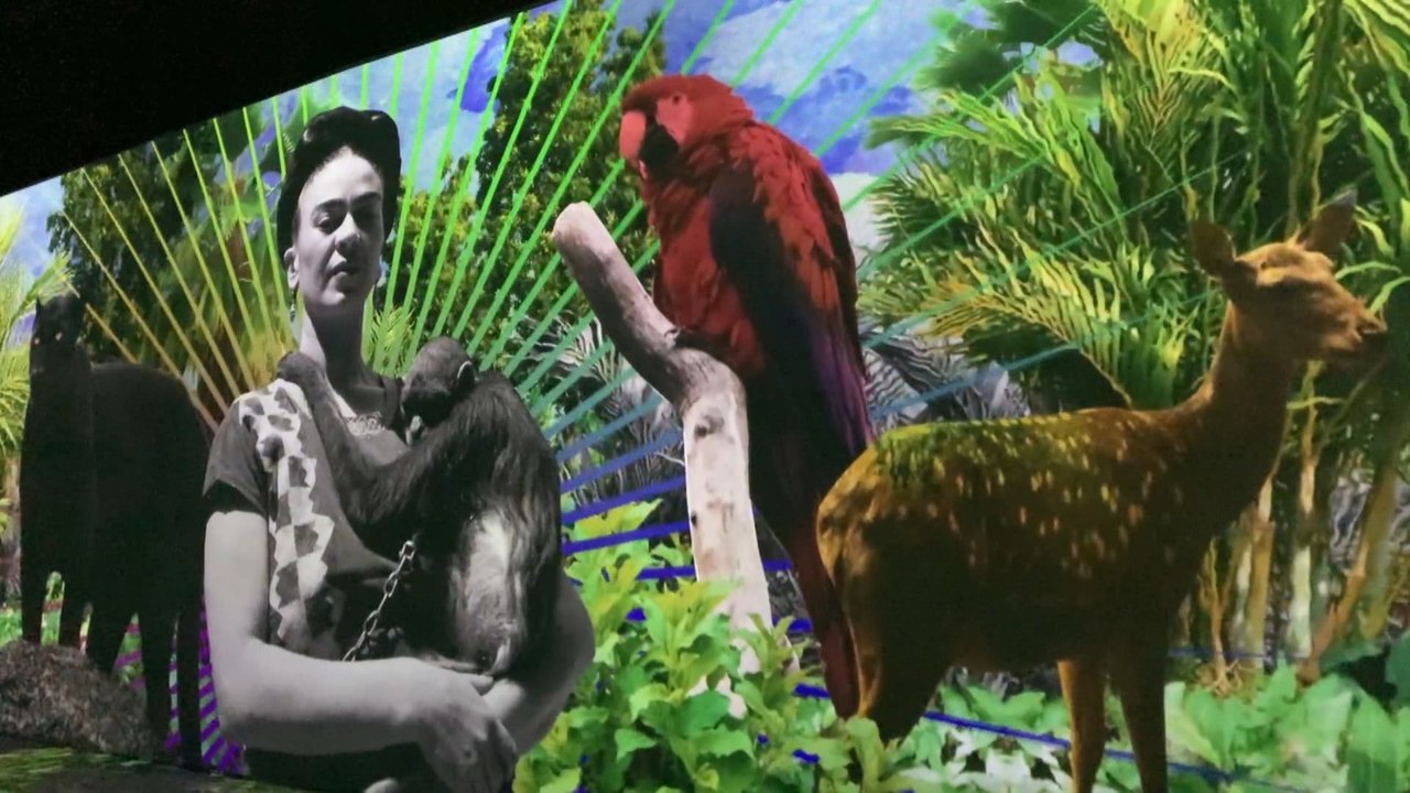 Frida Kahlo llega a Colombia con una biografía inmersiva para divulgar su legado