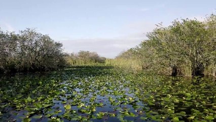 Ghosts of Flight 401 Part - 1