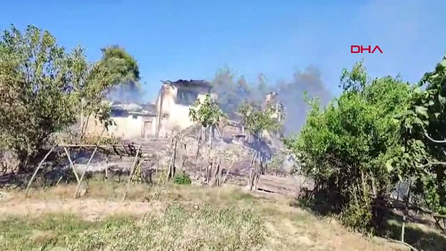 Adana'da Karaisali ve Kozan ilçelerinde orman yangını çıktı