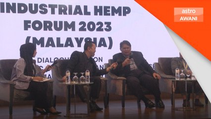 Ganja Perubatan: Mentaliti 'najis dadah' cabaran utama penyelidikan