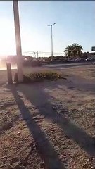 Camioneta huye tras atropellar a un motociclista