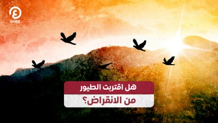 هل اقتربت الطيور من الانقراض؟