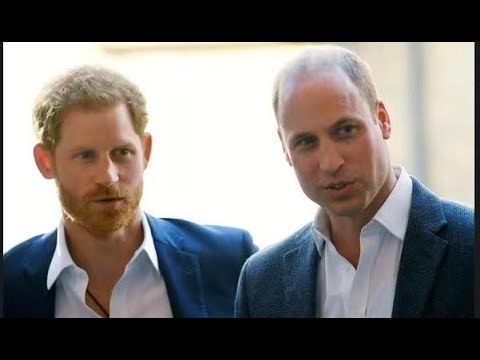 La popolarità del principe Harry in America supera quella del principe William nel nuovo sondaggio