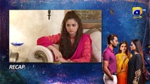 Recap Behroop Episode 91 - 11th July 2023 - FLO Digital