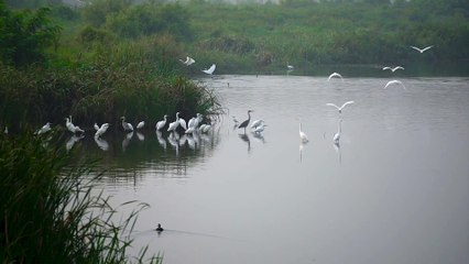 pexels-videos-6422192 (1080p).mp4