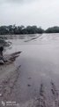 Rivers of Rajasthan: इन नदियों में फिर से आया पानी, आवागमन बंद