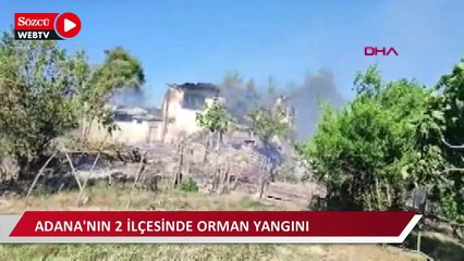 Adana'da orman yangını