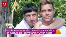 Ricky Martín es involucrado con  actor de contenido para adultos