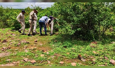 Dead body of teenager found hanging on tree in forest
