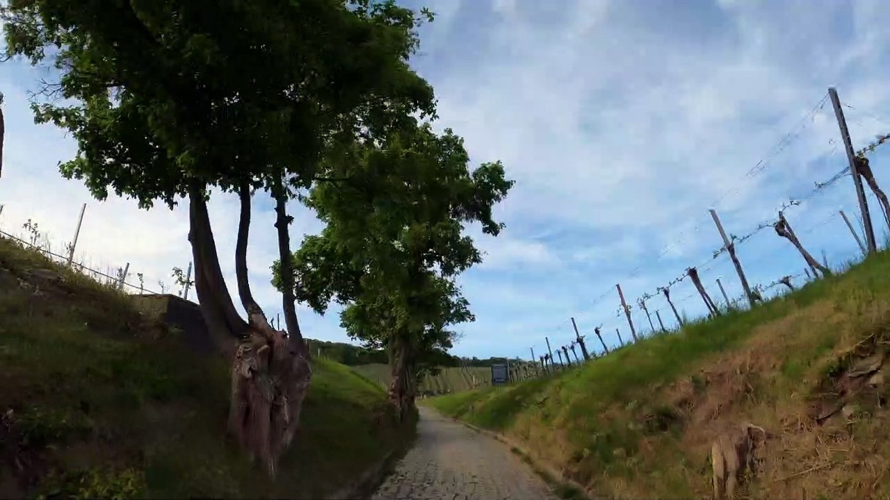 Wien Döbling: Mit dem Rad durch's Neustifter Weingebirge