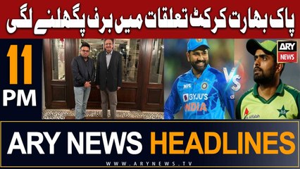 ARY News 11 PM Headlines 11th July 2023 | -      