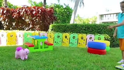 Vlad and Niki and stories about how important is it to be kind and honest