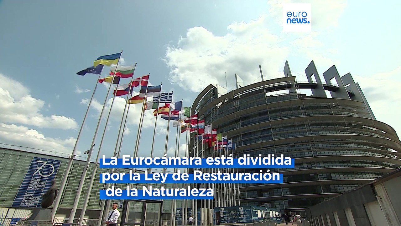 Noticias falsas, sueños utópicos y Papá Noel: Los eurodiputados se enzarzan por la Ley de Restauración de la Naturaleza