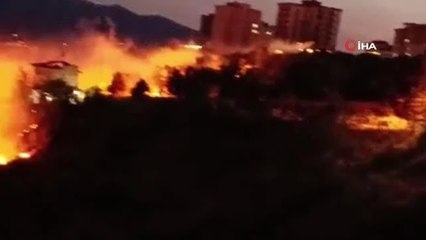 Kahramanmaraş'ta 7 dönümlük zeytinlik arazi yangında kül oldu