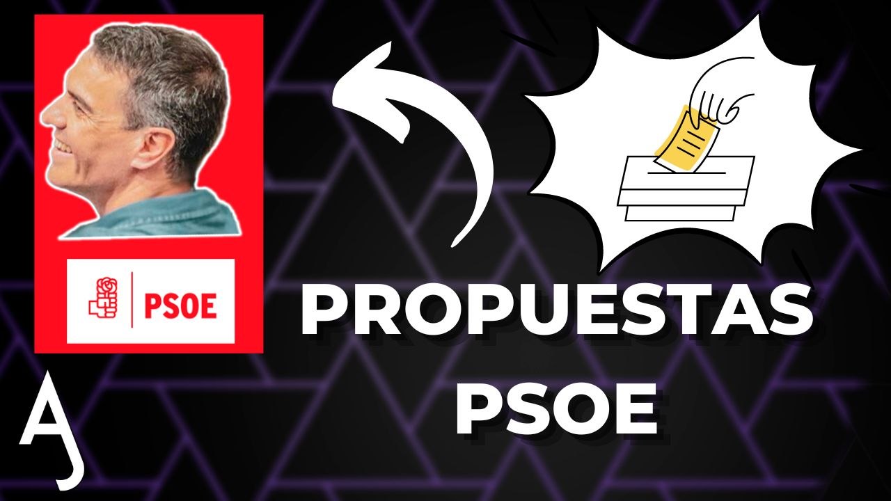 LAS PROPUESTAS DE PSOE