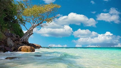 ✅Música grátis para ouvir