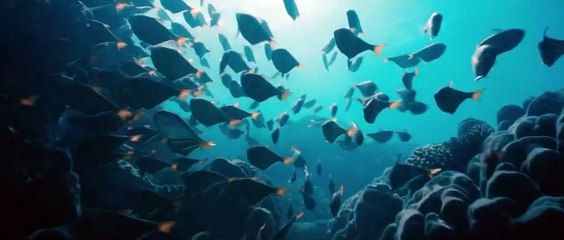 Blueback : Une Amitié Sous-Marine Bande-annonce (RU)