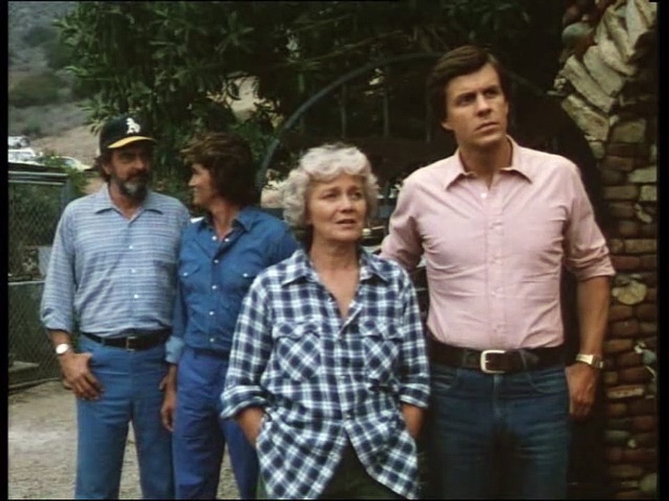 Les routes du Paradis S1 - 08 Quelle folie !