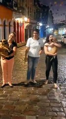 Família recupera cães roubados em Periperi