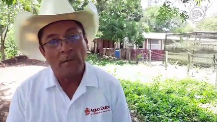 Con la Expo Feria 2023 se buscará promover las actividades ecuestres entre los jóvenes