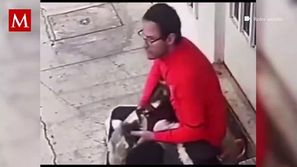 Un sujeto fue captado maltratando a un fox terrier en la Narvarte por lo que piden sanción para él