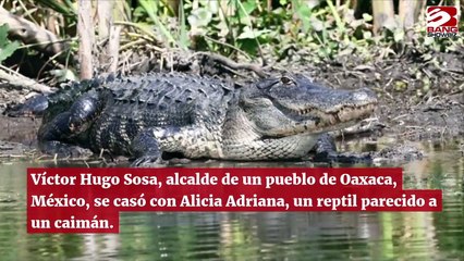 Víctor Hugo Sosa, alcalde de un pueblo de Oaxaca, se casa con un reptil hembra