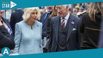 Charles III et Camilla : leur supposé fils caché “dévasté”, il annonce une terrible nouvelle