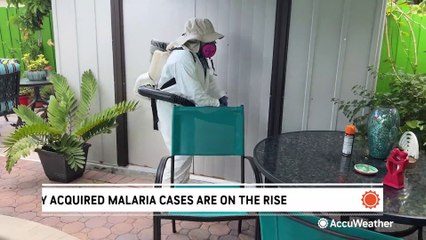 Several cases of malaria in US, first in decades