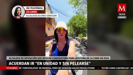 Platicamos sobre la importancia de mantenerse unidos y dejar los egos personales: Lía Limón