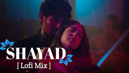 Shayad (Slowed + Reverb) | Relaxing Chill Version 🎶