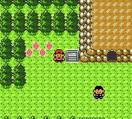 Pokémon Or Pur online multiplayer - gbc