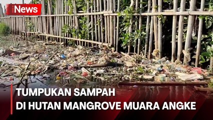 Tumpukan Sampah Berserakan, BRIN Sarankan Lokalisir Sampah Menuju Hutan Mangrove Muara Angke